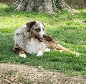 Meet your Posher, Jim